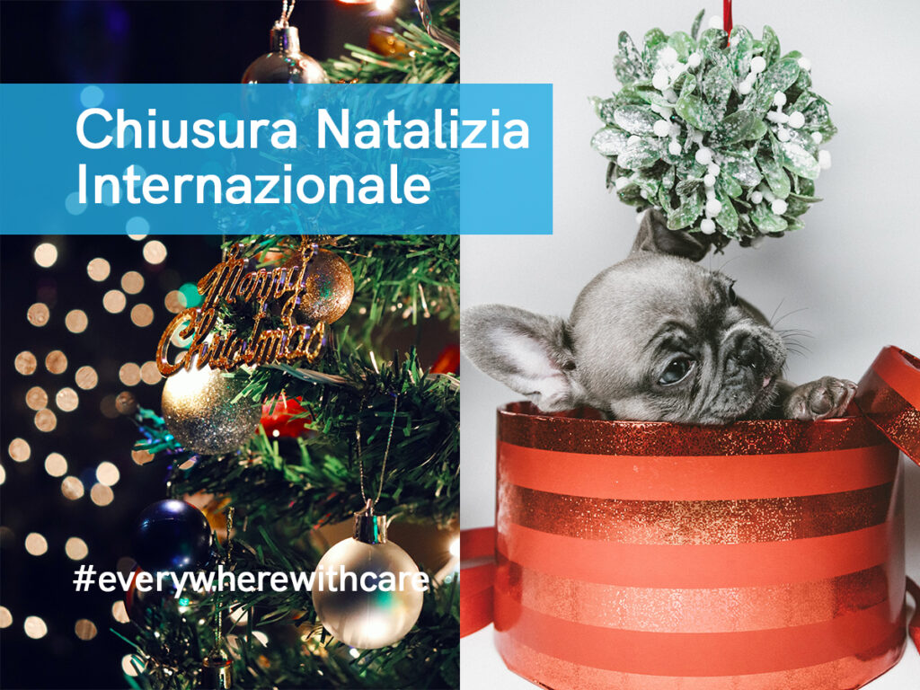 Chiusura Natalizia 2021 Linee Internazionali Arco Spedizioni